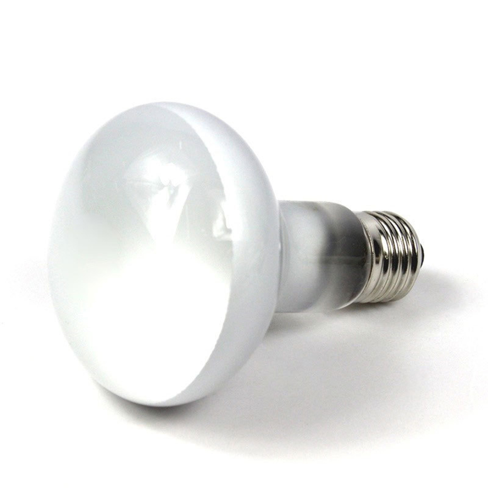 Pengontrol Suhu Pemanas Kadal  - Basking Bulb Halogen ulasan dan harga