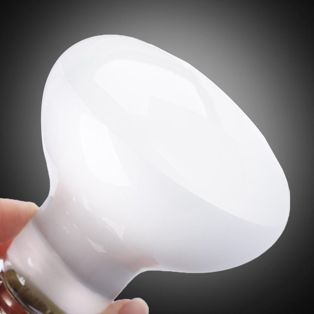 Pengontrol Suhu Pemanas Kura-k - Basking Bulb Halogen ulasan dan harga